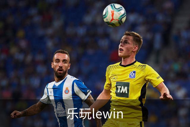 乐玩lewin公司简介